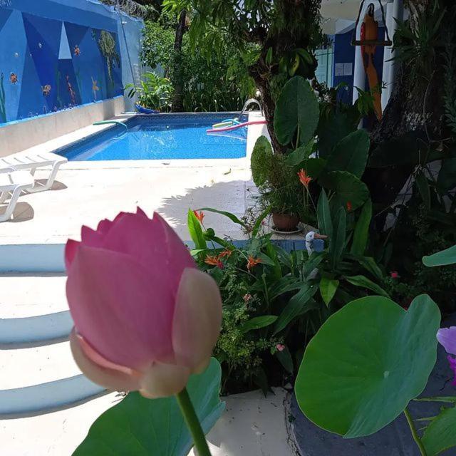 פורטו סגורו Porto Bahia Hotel מראה חיצוני תמונה